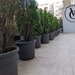 Fabrica de Glucoza apartament 3 camere parter cu terasa